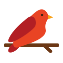 pájaro icon