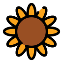 girasol icon