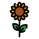 girasol icon