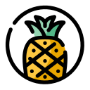 fruta icon