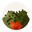 naturaleza icon