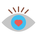 ojo icon