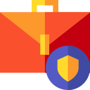 portafolio icon