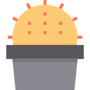 cactus icon