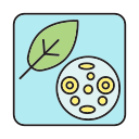 célula vegetal icon