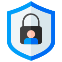 la seguridad cibernética icon