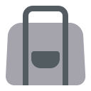 bolsa icon