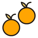 naranja icon