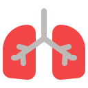 pulmones icon