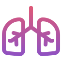 pulmones icon