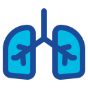 pulmones