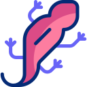 paramesotritón animated icon