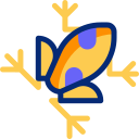 atelopus varius animated icon