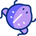 rhinophrynus dorsal animated icon