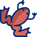 xenopus icon