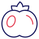 tomate icon