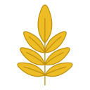 hoja icon