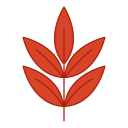 hoja icon