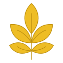 hoja icon