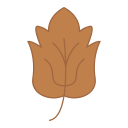 hoja icon