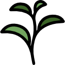 té verde icon