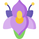 orquídea icon