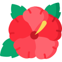 hibisco icon