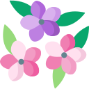 frangipani icon