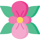 begonia icon