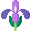 iris icon