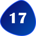 número 17 icon