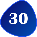 numero 30 icon