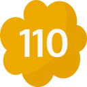 110 icon