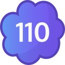 110 icon