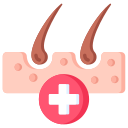 dermatología icon