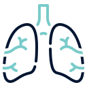 pulmones icon