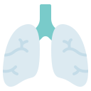 pulmones icon