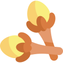 Clove icon