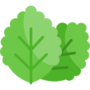 menta verde icon