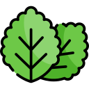 menta verde icon