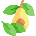 palta