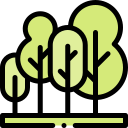 bosque icon