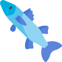 barracuda icon