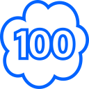 100 icon