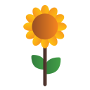 girasol icon