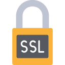 ssl icon