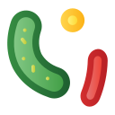 bacterias icon