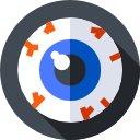 ojo icon