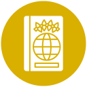 pasaporte icon