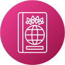 pasaporte icon